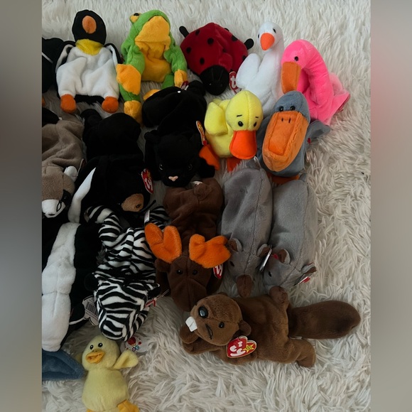 Ty Stuffed Animal Collection - Multicolor